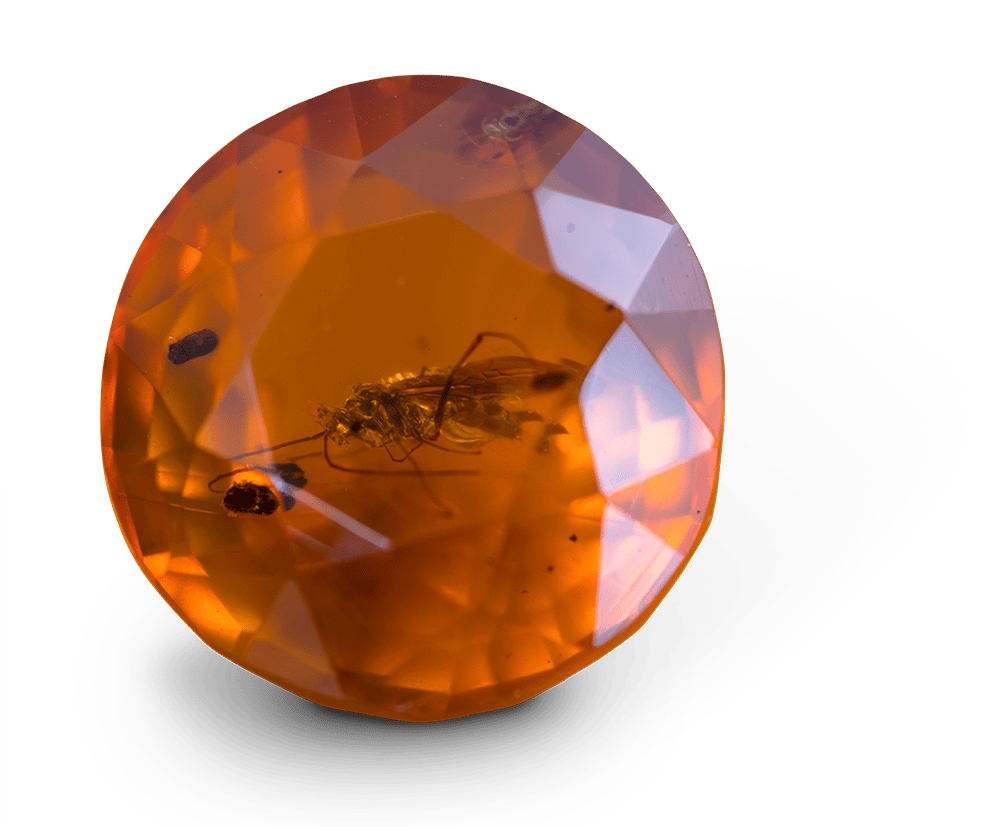 Faceted Amber with Mosquito Inside